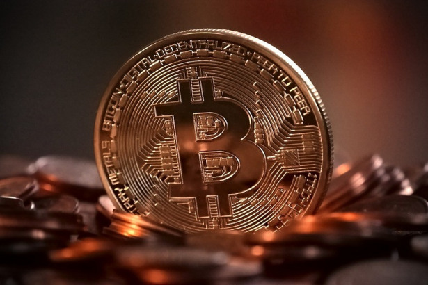 Bitcoin Brown