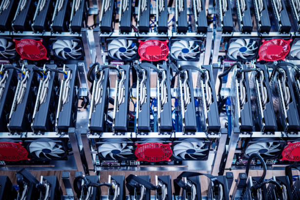 IT hardware. Cryptocurrency business equipment.