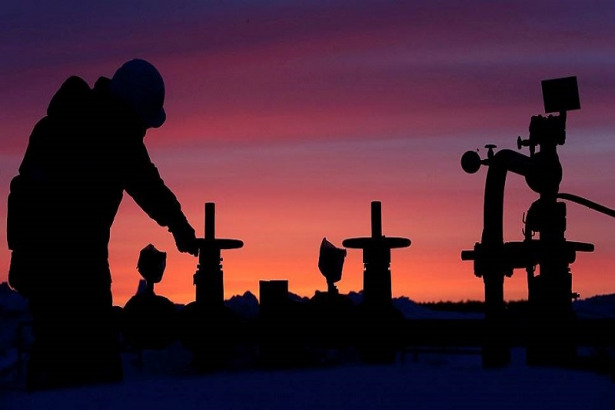 Oil Pumps Purple Pink