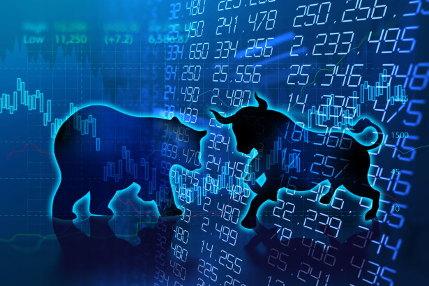 BULL STOCK BEAR S&P