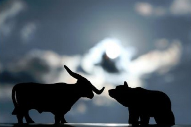 Bull Bears