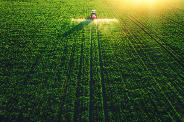 Grains Resume Downtrend Amid Trade War, Weather