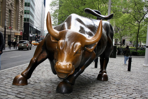 Bull - Wall St