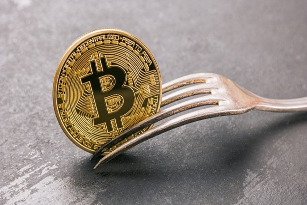 Hard Fork Criptovalute