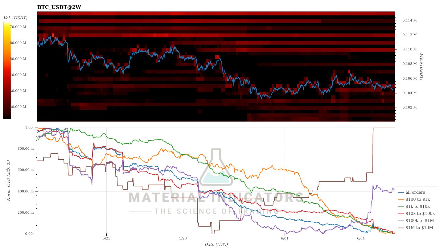 Largest Bitcoin Holder Cohort is Accumulating As BTC Eyes $110K Again |  FXEmpire