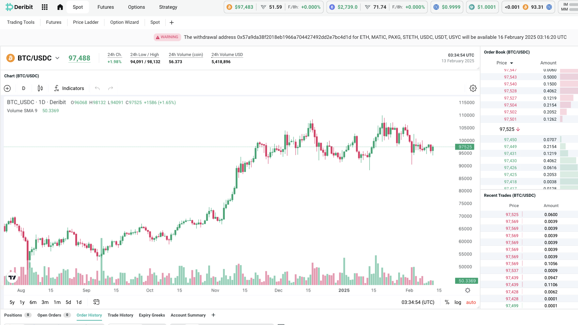 Deribit api doc (91) 사진