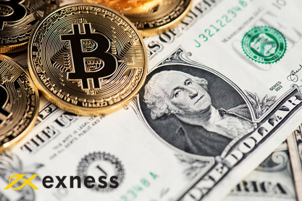 brokeri interactivi crypto trading bitcoin recenzii despre profit