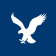 American Eagle Outfitters logo