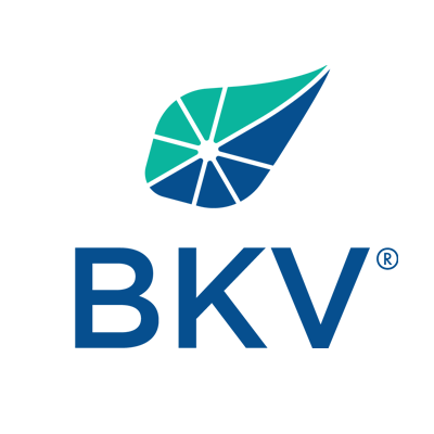 BKV logo