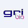 GRI logo