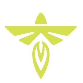 FLY logo