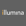 Illumina Inc logo