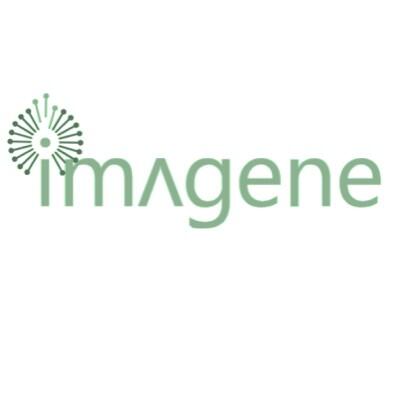 IMA logo