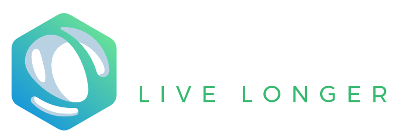 LNAI logo