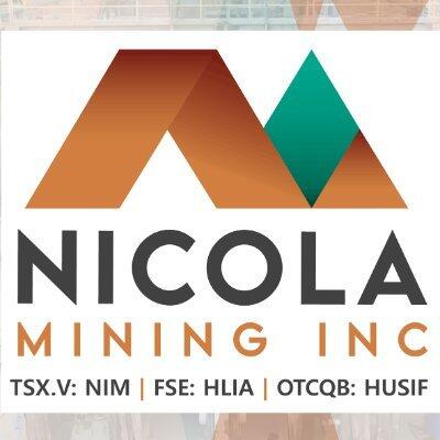 NICM logo