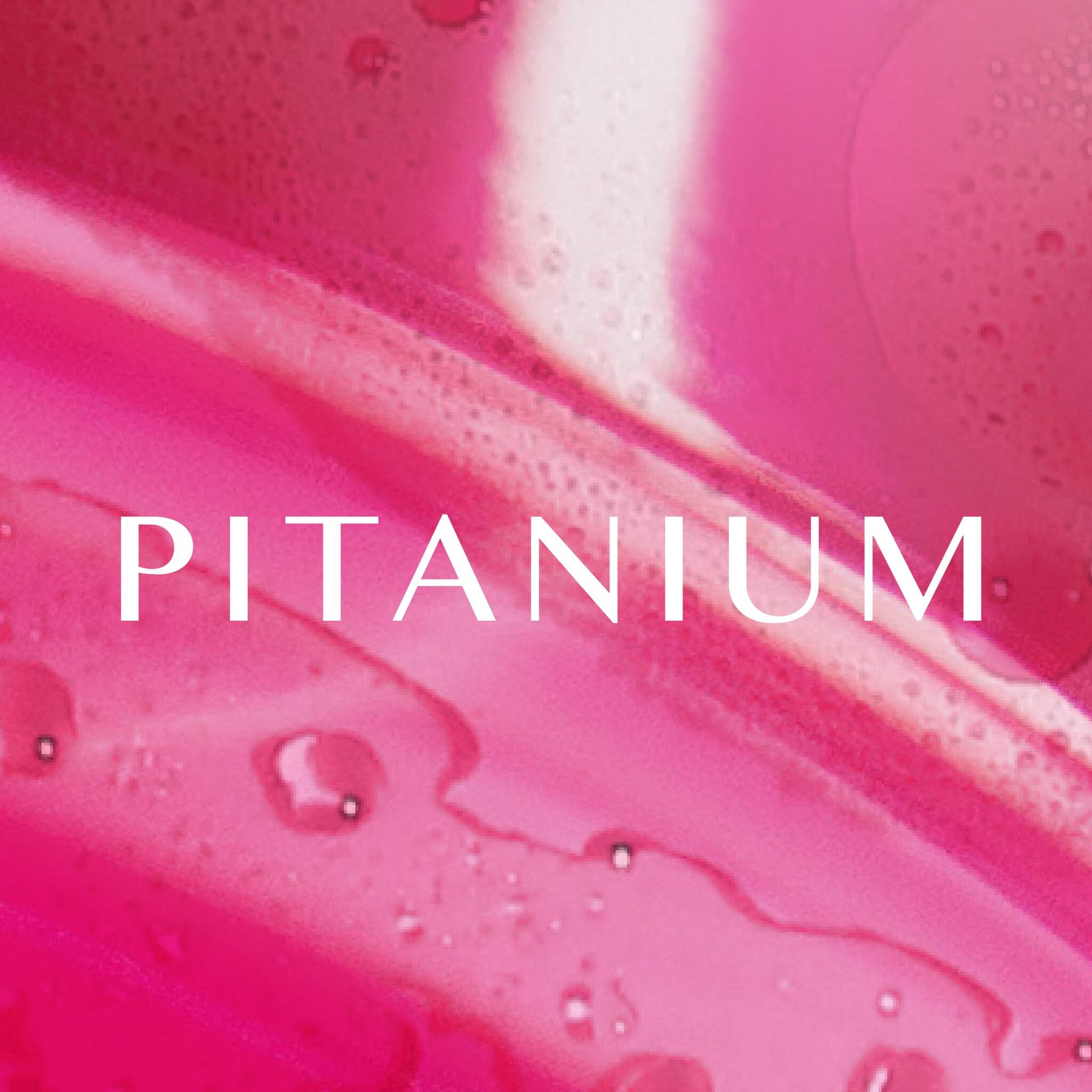 PTNM logo