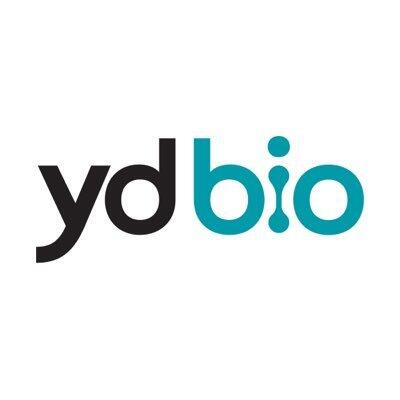 YDES logo