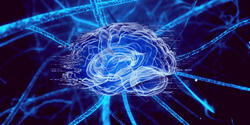 AB4AD (Antibodies for Alzheimer's Disease) logo