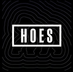 ApeChainHOES logo