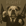 Babydog logo