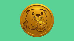 Beavers by CEDEN logo