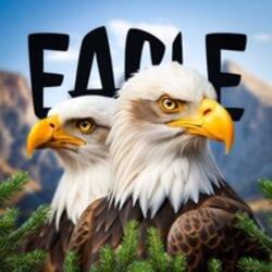 Big Bear Bald Eagle logo