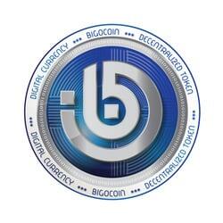 BIGOCOIN logo