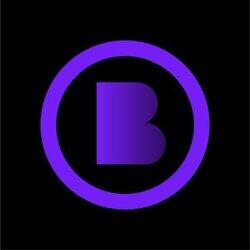 BitcoinZK logo