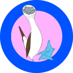 Blue-Footed Booby logo