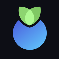 Blueberry logo