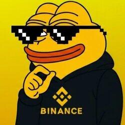 BNB PEPE logo