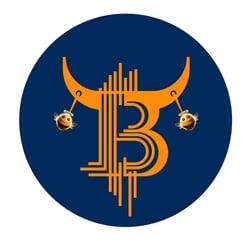 BullcoinBSC logo
