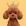 BunPoodle logo