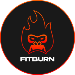 FitBurn logo