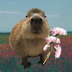 Capybara logo