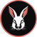 CashBunny logo