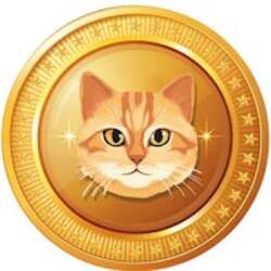 Cat Token logo