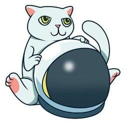 Mooncat CAT logo