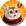 Catscoin logo