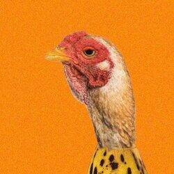 ChickenBanana logo