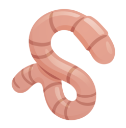 Chikn Worm logo