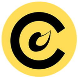 CoinCreate logo