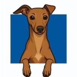 Cosmo logo