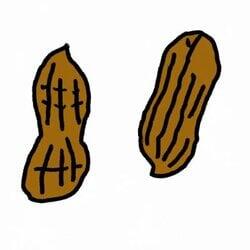 Deez Nuts logo
