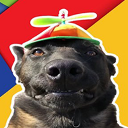 dog wif spinning hat logo