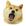 Doge Eat Doge logo