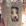 doginblock logo