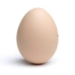 Egg logo