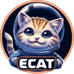 ELON CAT FINANCE logo