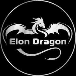 ELON DRAGON logo